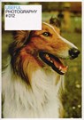 Useful photography 12 - Erik Kessels ; Hans Aarsman ; Hans van der Meer ; Julian Germain - 9789070478407