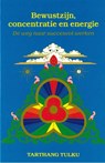 Bewustzijn, concentratie en energie - Tarthang Tulku - 9789073728103