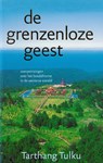 De grenzeloze geest - Tarthang Tulku - 9789073728172