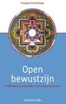 Open bewustzijn - Tarthang Tulku - 9789073728226