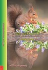 De eekhoorn - Willem Quist - 9789075982879