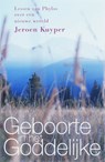 Geboorte in het Goddelijke - Jeroen Kuyper - 9789077247594