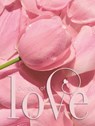 Gastenboek bruiloft LOVE luxe hardcover voor 250 gasten - Angelique Challa - 9789078169628