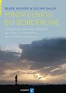 Mindfulness bij borderline - Blaise Aguirre ; Gillian Galen - 9789079729791