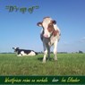 D'r op of - Ina Eilander - 9789081963718