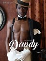 Get seduced by Dandy - Wim de Roo - 9789082531862