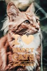 I love Happy Cats Revolutie - Anneleen Bru - 9789082772241