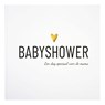 Babyshower -  - 9789082815498