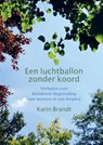 Een luchtballon zonder koord - Karin Brandt - 9789082913415