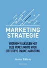 Marketing-strategie - Jenna Tiffany - 9789083309118