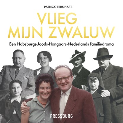 Vlieg, mijn zwaluw, Patrick Bernhart - Luisterboek MP3 - 9789083326429