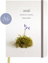 Essencio Agenda 2026 klein (A6) -  - 9789083515922