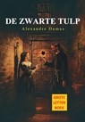 De zwarte tulp GLB - Alexandre Dumas - 9789085484981