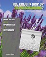 Hoe krijg ik grip op zelfbeschadiging? - Lawrence E. Shapiro - 9789085606734