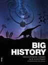 Big history - Constance van Hall - 9789089535214