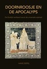 Doornroosje en de apocalyps - Hans Siepel - 9789089547514