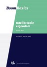 Boom Basics Intellectuele eigendom - P.A.C.E. van der Kooij & Ton Hartlief ; A.W. Heringa ; C.J.H. Jansen - 9789089748959