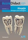 Kiespijn, dentogeen of niet-dentogeen? - Jan Warnsinck - 9789089762276