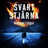 Svart stjärna 2 - Himmel i lågor - Joakim Ersgård ; Jesper Ersgård - 9789180247009