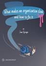 What makes an organization slow and how to fix it - Jan Grape - 9789180809283