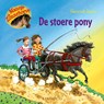 De stoere pony - Gertrud Jetten - 9789181120332