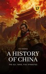 The Sui, Tang, Five Dynasties: A History of China - Hui Wang - 9789189998506