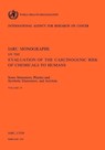 Monographs on the Evaluation of Carcinogenic Risks to Humans - International Agency for Research on Cancer - 9789283212195