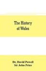 The history of Wales - DAVID POWELL ; JOHN PRICE,  Sir - 9789353706029