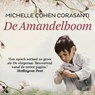 De amandelboom - Michelle Cohen Corasanti - 9789401620987