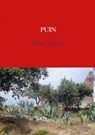 Puin - Hens Hauer - 9789402121971