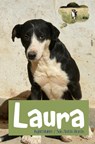 Laura - Ingrid Mulder ; San Antón Morón Refugio - 9789402127126