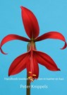 Handboek kweken van bollen in kamer en kas - Peter Knippels - 9789402173239