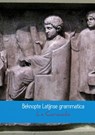 Beknopte Latijnse grammatica - Ls Coronalis - 9789402176957