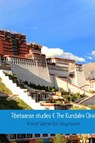 Tibetaanse studies & The Kundalini Clinic - Kristof Gabriel Van Hooymissen - 9789402191325