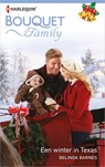 Een winter in Texas - Belinda Barnes - 9789402537680