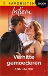Verhitte gemoederen - Ann Major - 9789402578317