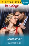 Spaans vuur - Lucy Monroe - 9789402582758