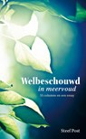 Welbeschouwd in meervoud - Steef Post - 9789402914450
