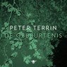 De gebeurtenis - Peter Terrin - 9789403130064