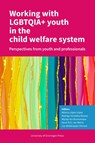 Working with LGBTQIA+ youth in the child welfare system - Mónica López López ; Victor Rodrigo González Álvarez ; Mijntje Ten Brummelaar - 9789403429311