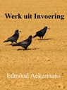 Werk uit invoering - Edmond Ackermans - 9789403781310