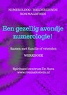 Een gezellig avondje numerologie! - Ron Malestein (helderziende) - 9789403785905