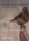 DERDE OGENTROOST - ELLE WERNERS - 9789403795379