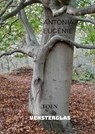 VENSTERGLAS - Antonia Eugénie - 9789403812014