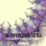 WAPENZUSTERS - Pieter Nelleke - 9789403812625