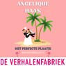 Het perfecte plaatje - Angelique Haak - 9789461099983