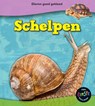 Schelpen - Holly Beaumont - 9789461755148