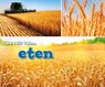 Eten - Erika L. Shores - 9789461755766