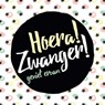 Hoera zwanger - Gerd de Ley - 9789461888723