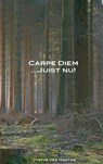 Carpe Diem juist nu! - Yvette den Hartog - 9789461935458